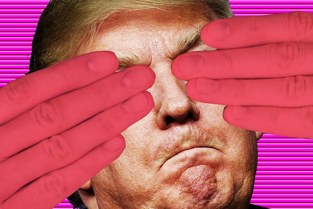 Donald Trump blind face